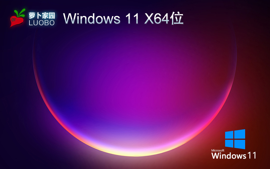 蘿卜家園WIN11專業版下載 X64位正式版 V2023系統下載