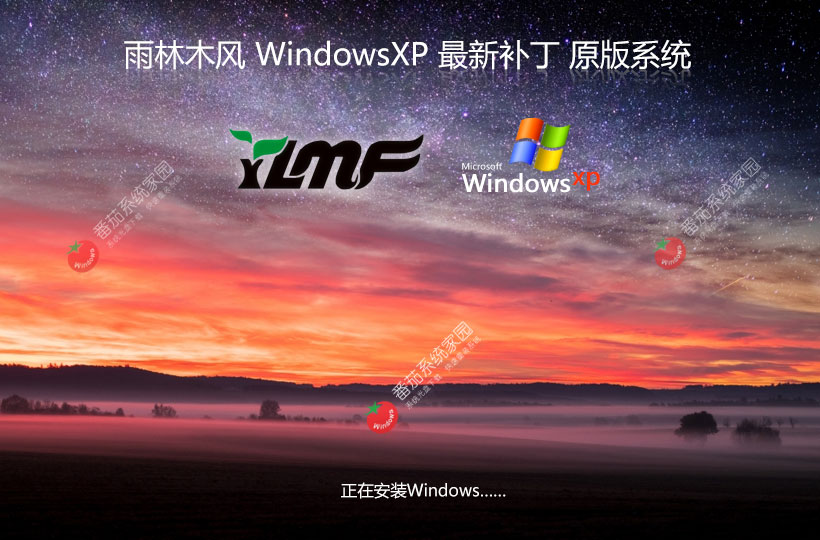 雨林木風windowsxp sp3 最新版系統 winxp旗艦版下載(已打sp3補丁)