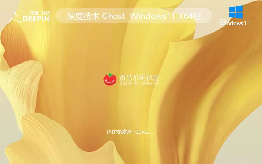 Windows11游戲專用版下載 深度技術x64位 筆記本專用 GHOST鏡像下載
